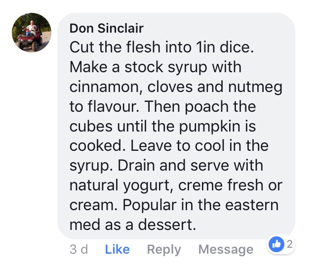 A screenshot of Don’s suggestion of using the pumpkin to make a Mediterranean dessert